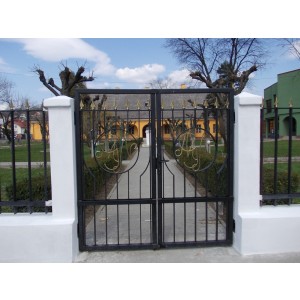 Poarta fier forjat model R67 3